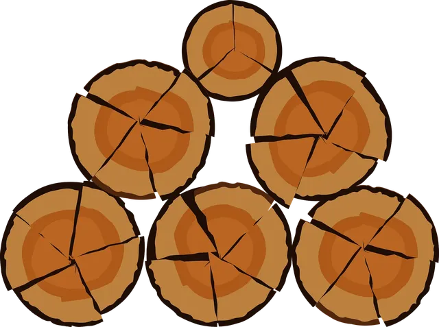 Community Resource (Volunteer) icon